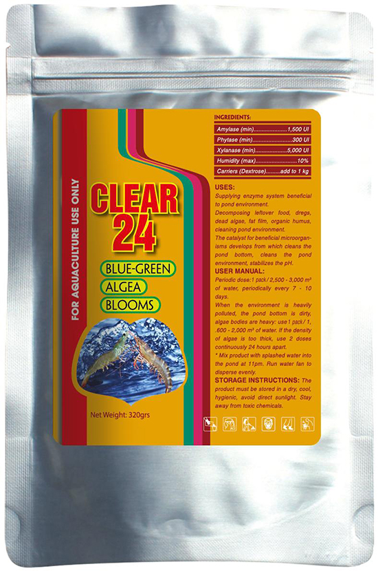 CLEAR 24
